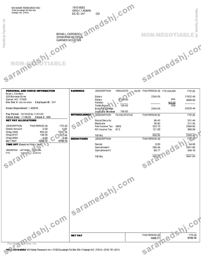 M3 WAKE RESEARCH INC earnings statement template in Word and PDF formats.pdf, 1